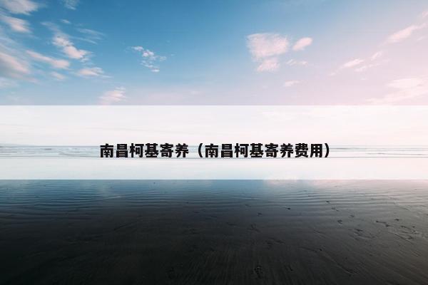 南昌柯基寄养(南昌柯基寄养费用)