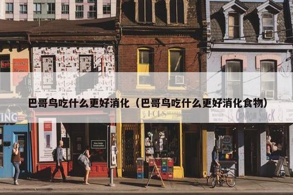 巴哥鸟吃什么更好消化(巴哥鸟吃什么更好消化食物)