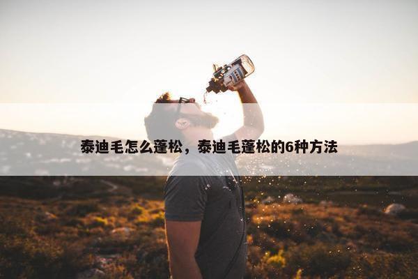 泰迪毛怎么蓬松，泰迪毛蓬松的6种方法
