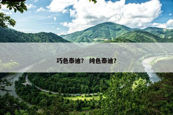 巧色泰迪? 纯色泰迪?