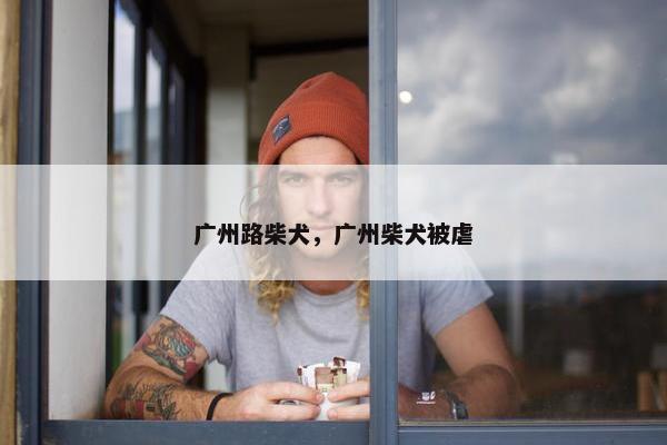 广州路柴犬,广州柴犬被虐