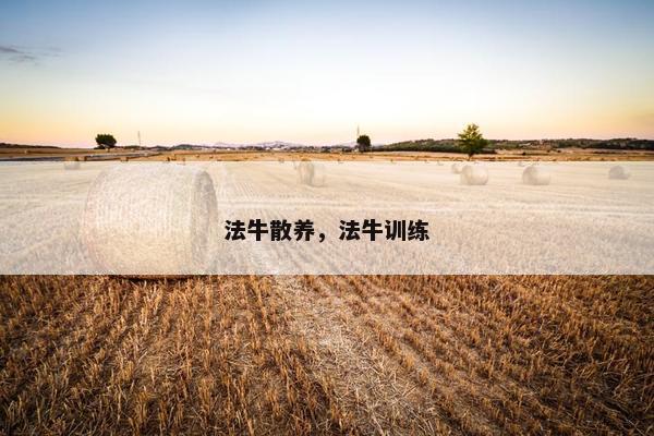 法牛散养,法牛训练