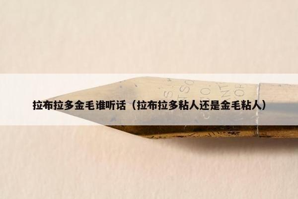 拉布拉多金毛谁听话(拉布拉多粘人还是金毛粘人)