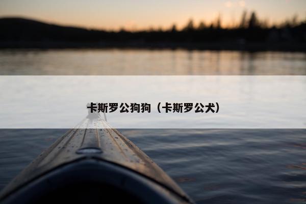 卡斯罗公狗狗(卡斯罗公犬)