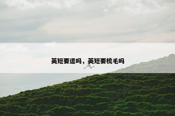 英短要逗吗，英短要梳毛吗