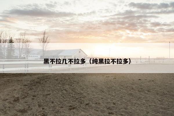 黑不拉几不拉多(纯黑拉不拉多)