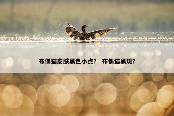 布偶猫皮肤黑色小点? 布偶猫黑斑?