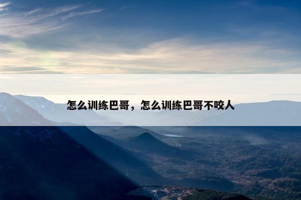怎么训练巴哥,怎么训练巴哥不咬人