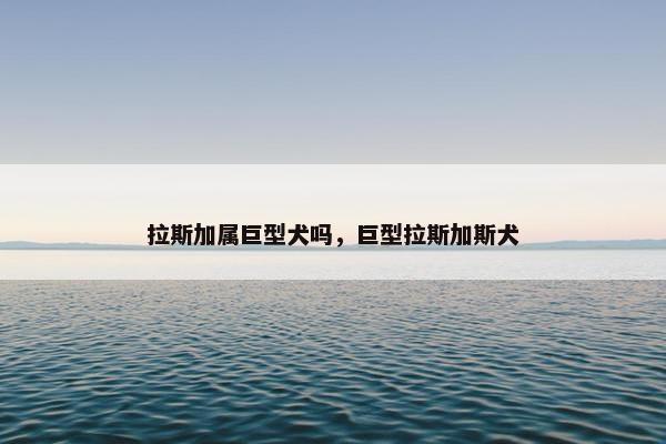 拉斯加属巨型犬吗，巨型拉斯加斯犬