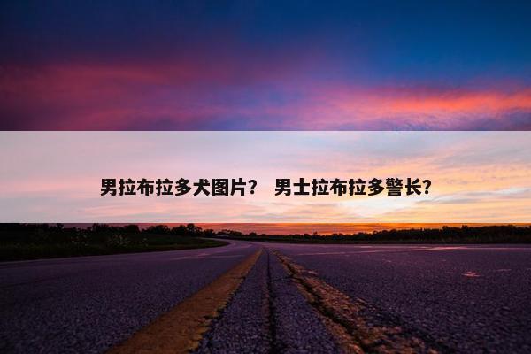 男拉布拉多犬图片？ 男士拉布拉多警长？