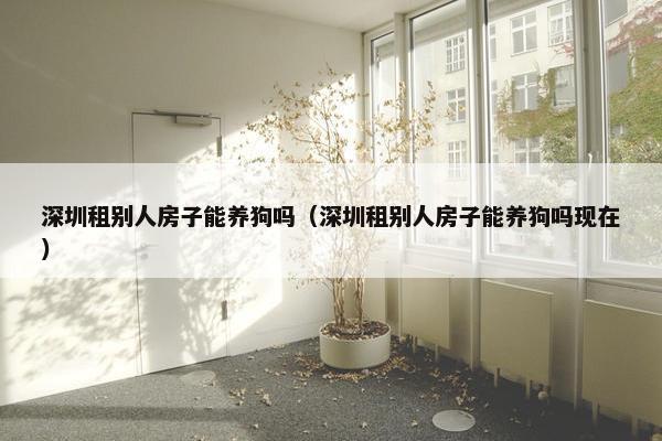 深圳租别人房子能养狗吗(深圳租别人房子能养狗吗现在)