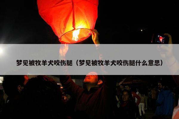 梦见被牧羊犬咬伤腿(梦见被牧羊犬咬伤腿什么意思)