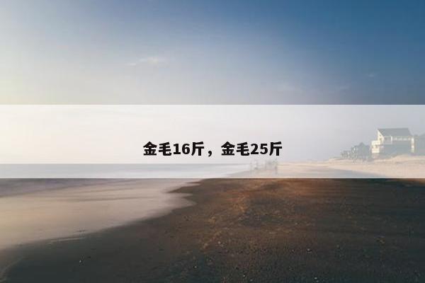 金毛16斤,金毛25斤