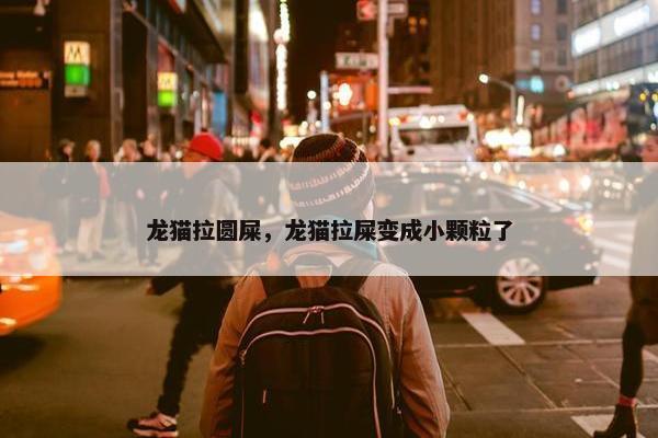龙猫拉圆屎，龙猫拉屎变成小颗粒了