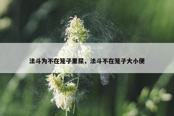 法斗为不在笼子里尿,法斗不在笼子大小便