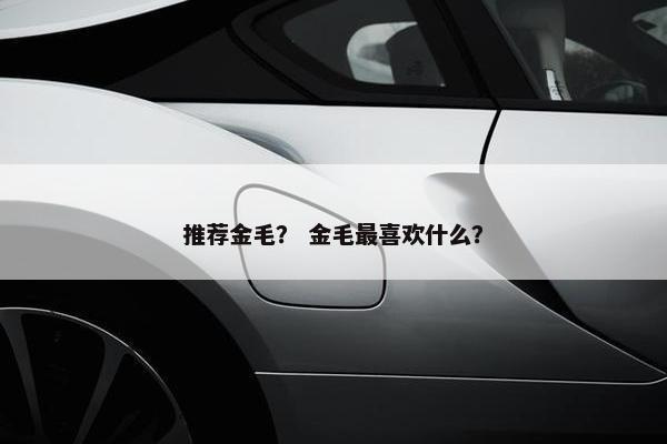 推荐金毛? 金毛最喜欢什么?