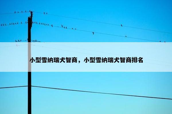 小型雪纳瑞犬智商,小型雪纳瑞犬智商排名