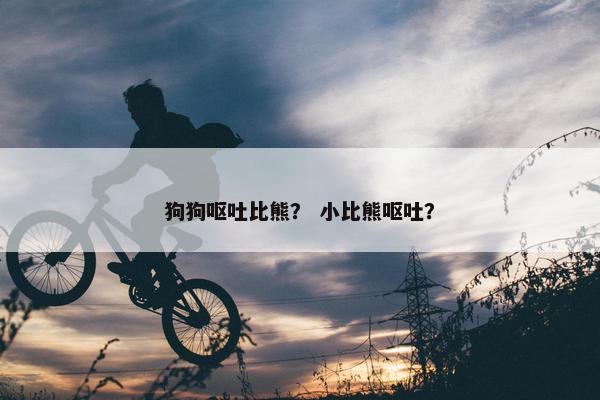 狗狗呕吐比熊? 小比熊呕吐?