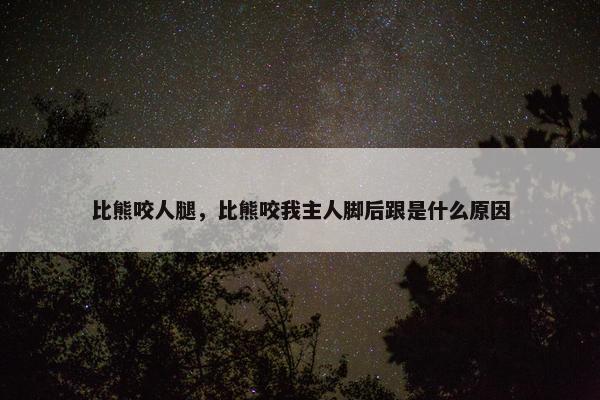 比熊咬人腿,比熊咬我主人脚后跟是什么原因