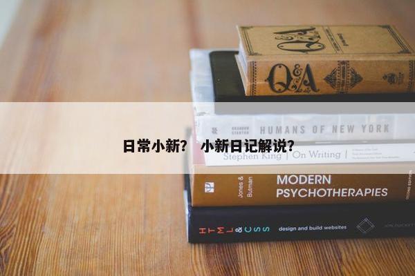 日常小新? 小新日记解说?