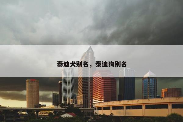 泰迪犬别名,泰迪狗别名