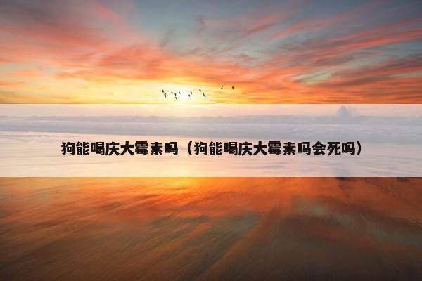 狗能喝庆大霉素吗(狗能喝庆大霉素吗会死吗)