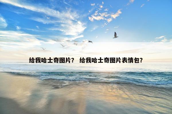 给我哈士奇图片? 给我哈士奇图片表情包?