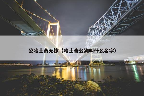 公哈士奇无棣(哈士奇公狗叫什么名字)