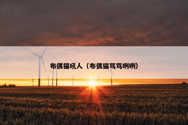 布偶猫吼人(布偶猫骂骂咧咧)