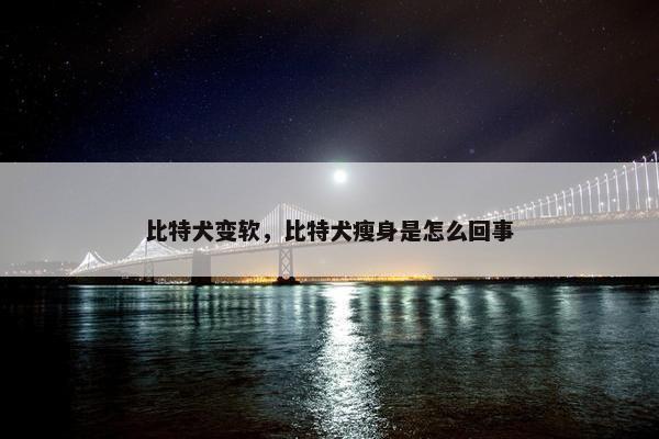 比特犬变软,比特犬瘦身是怎么回事