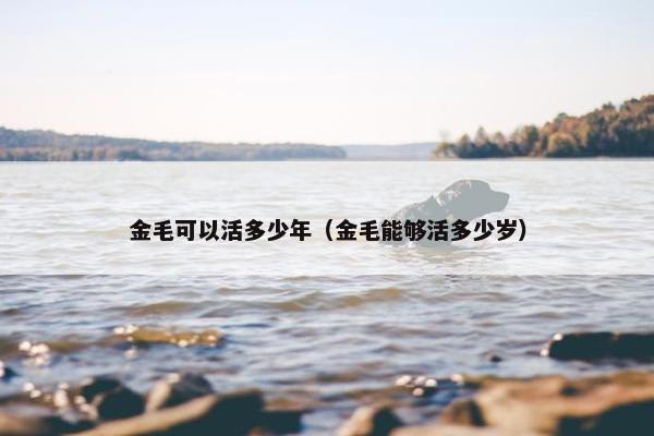 金毛可以活多少年(金毛能够活多少岁)