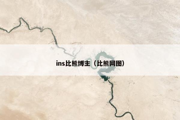 ins比熊博主（比熊网图）