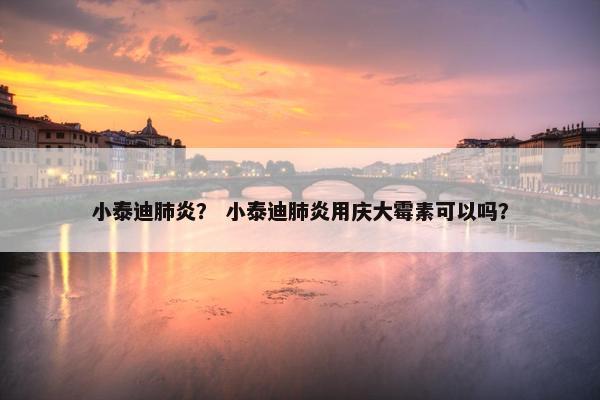 小泰迪肺炎? 小泰迪肺炎用庆大霉素可以吗?