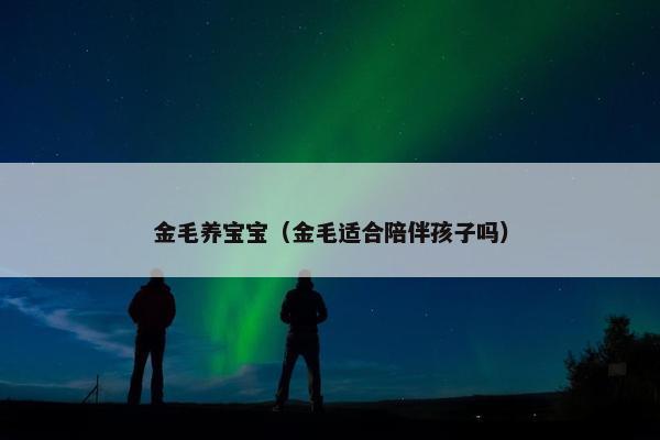 金毛养宝宝(金毛适合陪伴孩子吗)