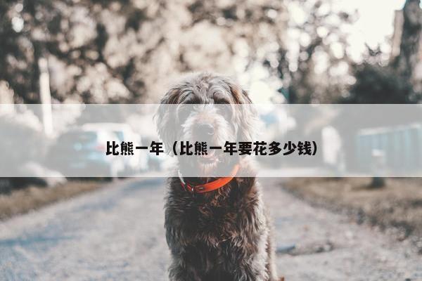 比熊一年(比熊一年要花多少钱)