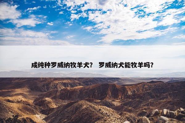 成纯种罗威纳牧羊犬? 罗威纳犬能牧羊吗?