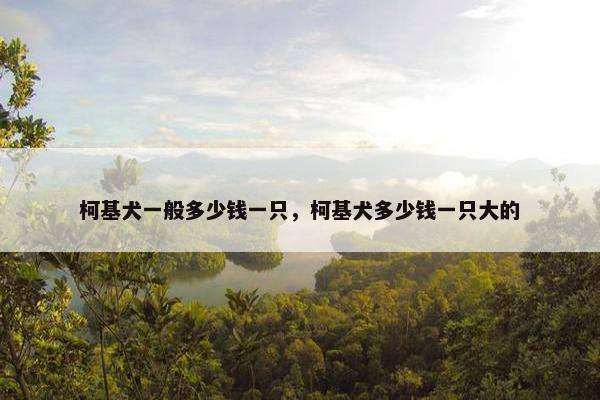 柯基犬一般多少钱一只，柯基犬多少钱一只大的