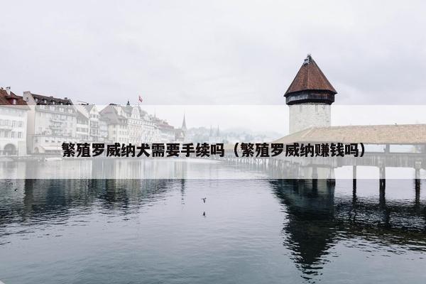 繁殖罗威纳犬需要手续吗(繁殖罗威纳赚钱吗)