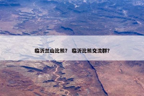 临沂兰山比熊? 临沂比熊交流群?
