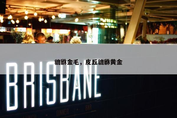 貔貅金毛,皮丘貔貅黄金