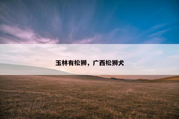 玉林有松狮,广西松狮犬