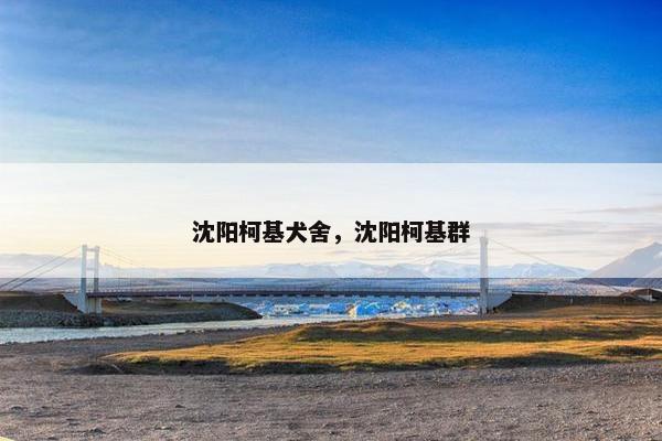 沈阳柯基犬舍，沈阳柯基群