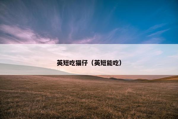 英短吃猫仔(英短能吃)