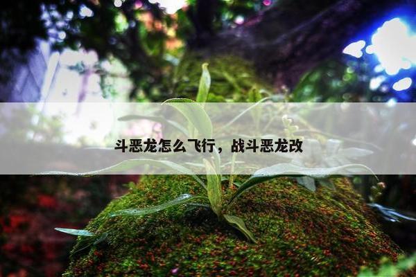 斗恶龙怎么飞行,战斗恶龙改