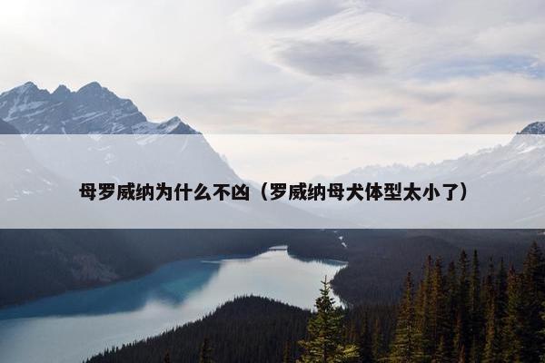 母罗威纳为什么不凶(罗威纳母犬体型太小了)