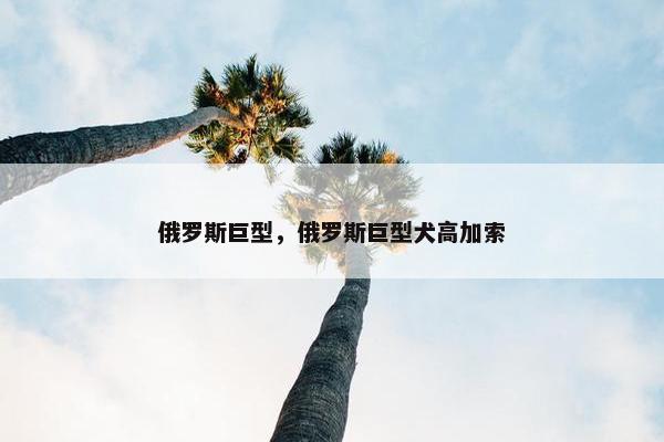 俄罗斯巨型,俄罗斯巨型犬高加索