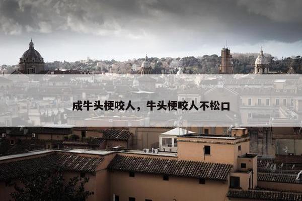 成牛头梗咬人,牛头梗咬人不松口