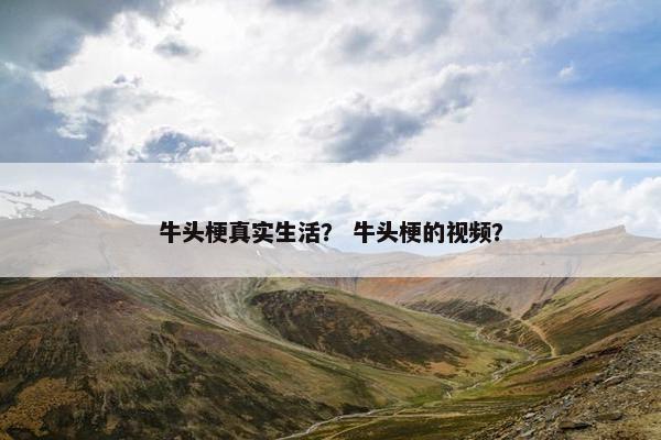 牛头梗真实生活? 牛头梗的视频?
