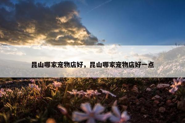 昆山哪家宠物店好,昆山哪家宠物店好一点