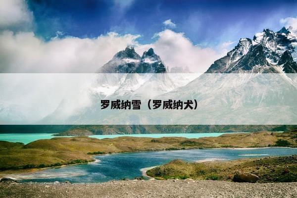 罗威纳雪(罗威纳犬)